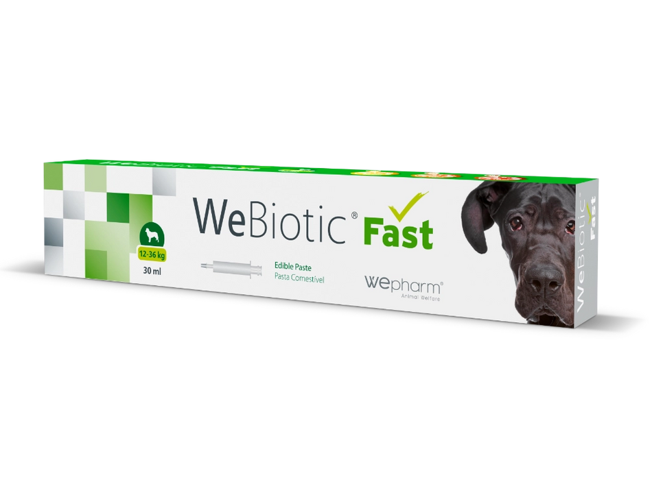 WePharm WeBiotic Fast Pasta - Ondersteuning van de Spijsvertering