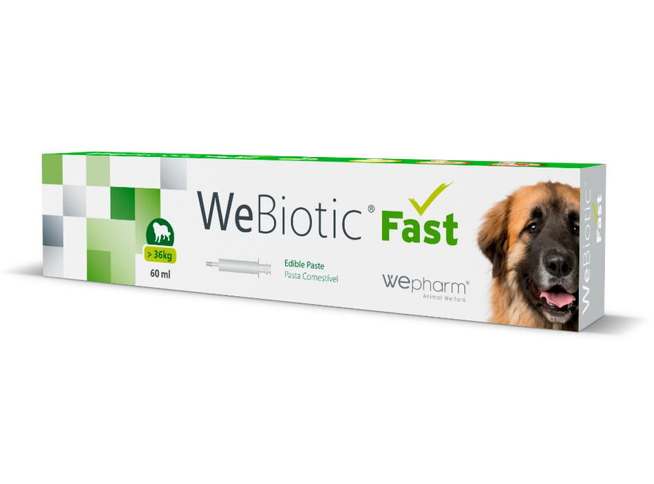 WePharm WeBiotic Fast Pasta - Ondersteuning van de Spijsvertering
