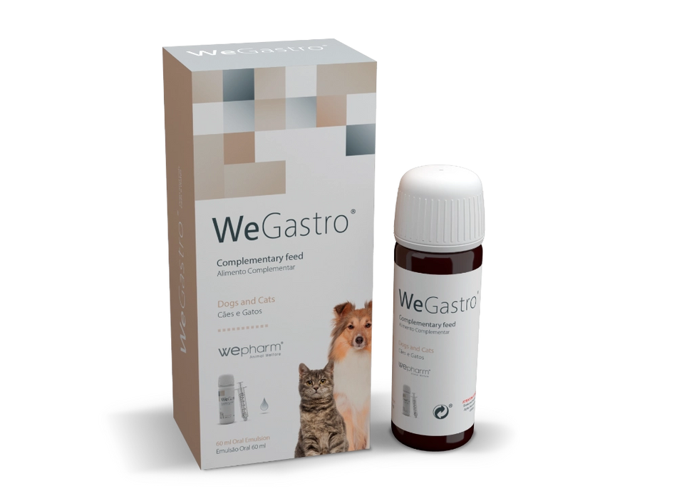 Wepharm WeGastro - 60 ml - Ondersteuning voor de Maag