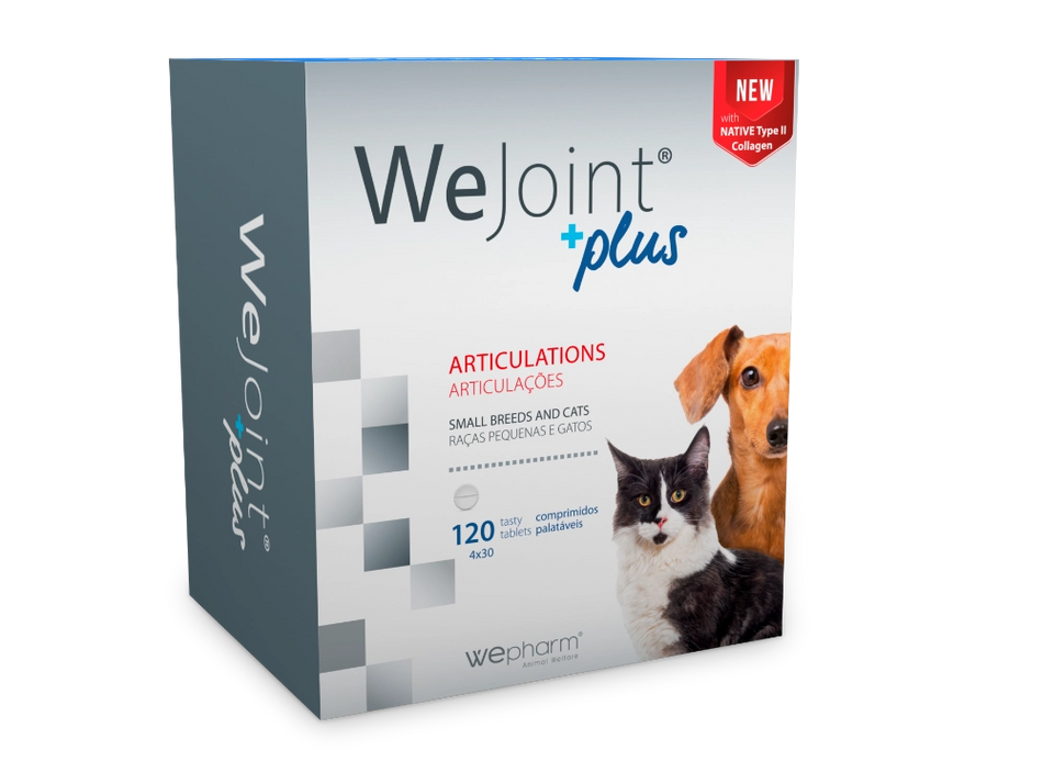 WePharm WeJoint Plus - Ondersteuning voor de Gewrichten