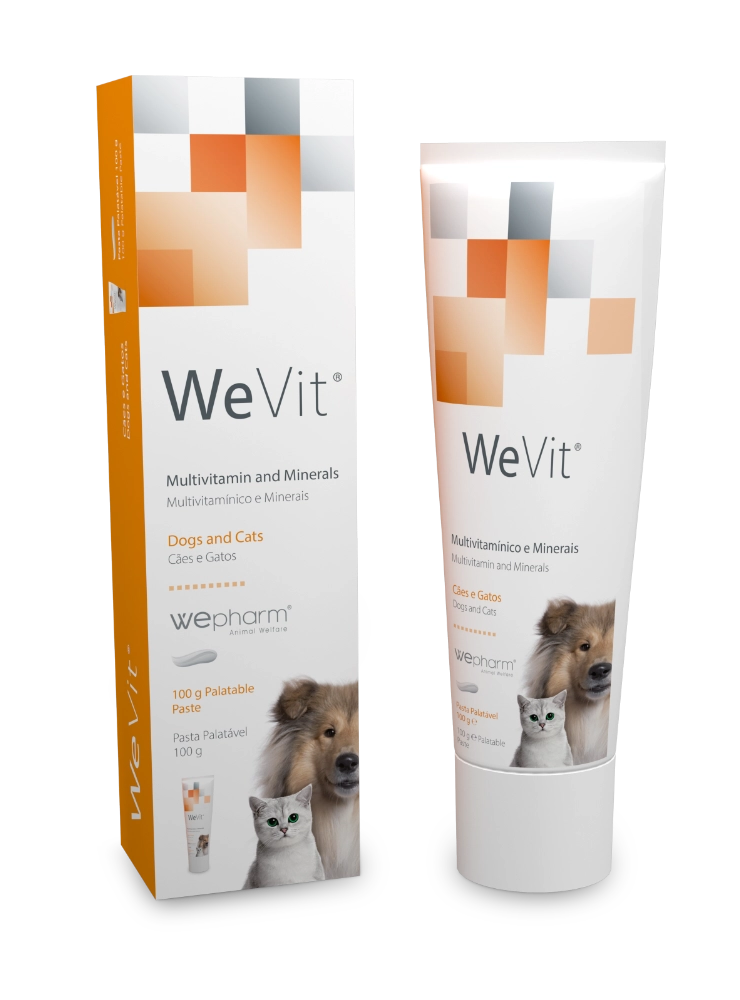 WePharm WeVit - Ondersteunt Energie, Vitaliteit & Algemene Gezondheid